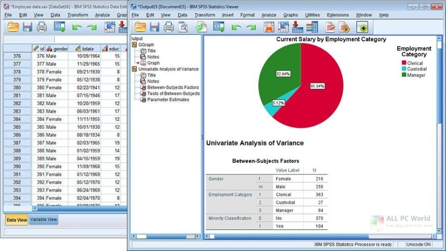 SPSS (Perpectual)